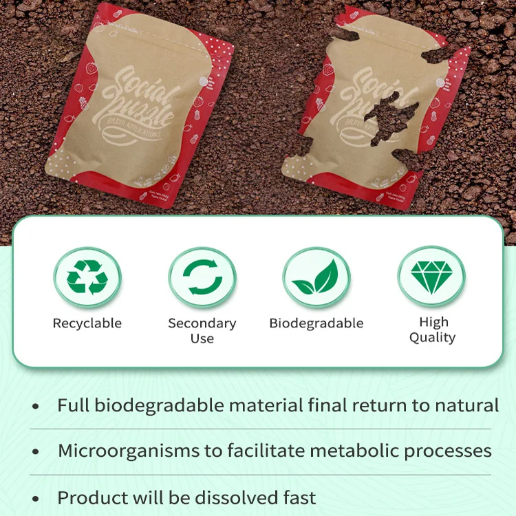 Recycled Custom Printed Eco Friendly Zipper Food Packaging Bag Ziplock Kraft Paper Stand up Pouches with Zipper and Window