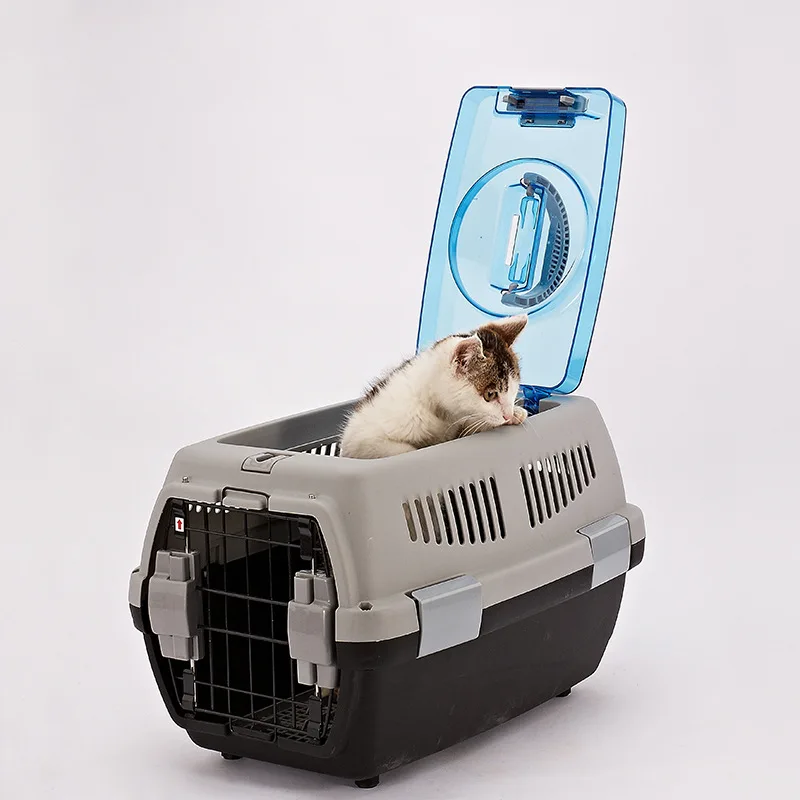 free cat carrier box