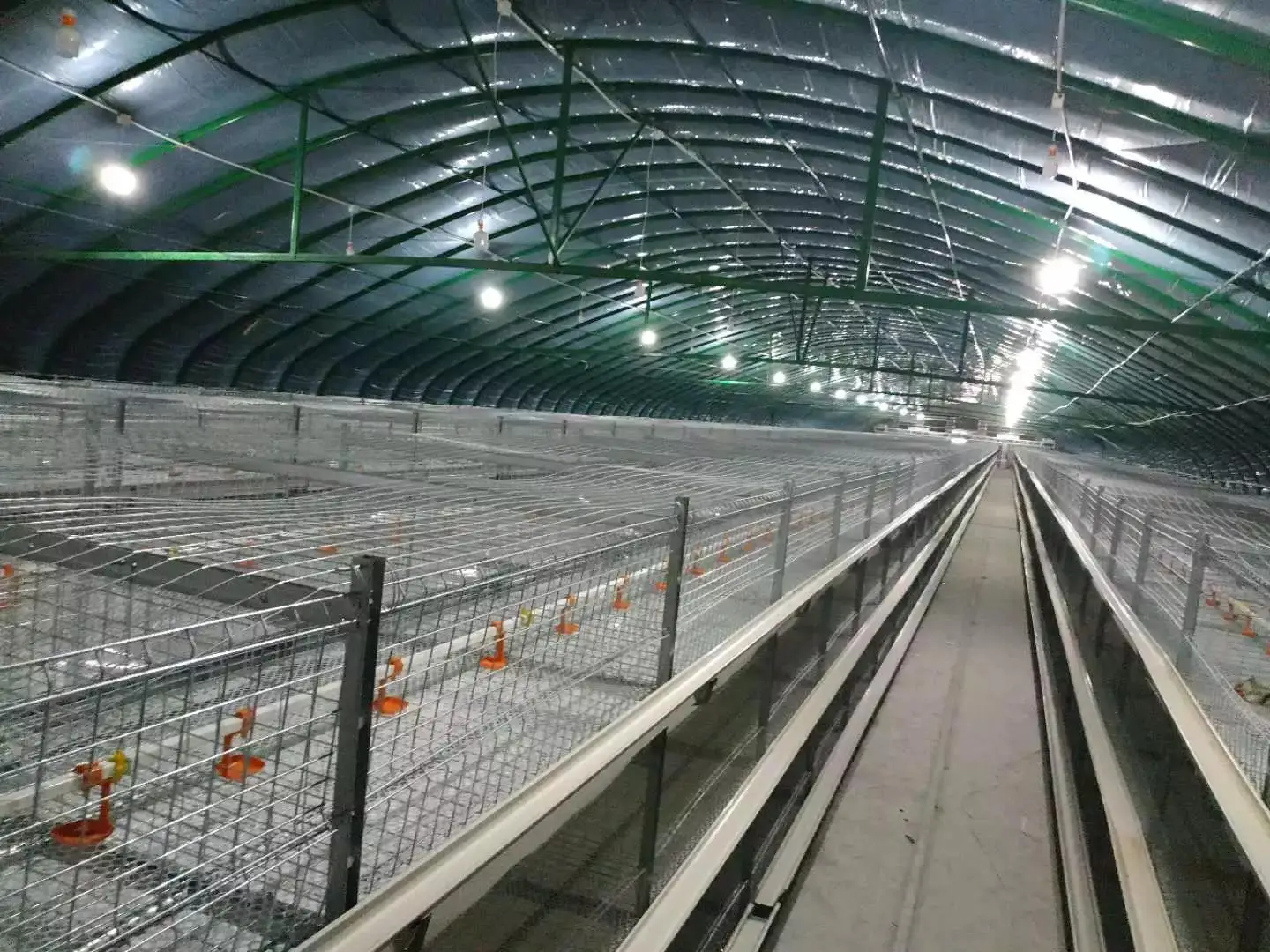 battery chicken cage 25.jpg