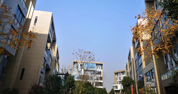 Ningbo Bigoo International Trading Co., Ltd.