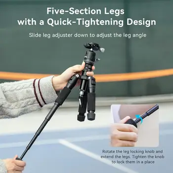 SmallRig VT-20 Aluminum Mini Tripod, 20" Desktop Tripod with 360 Ball Head, Compact Desktop Tripod for DSLR Camera Video detail image