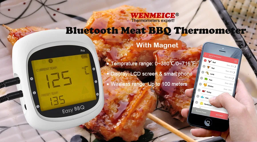 WiFi Meat thermometer Pro03