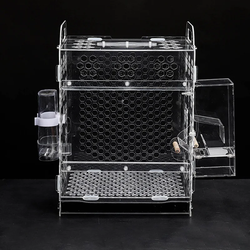 Sale of High Quality Small Bird Cage Bird Cages for Sale Birds