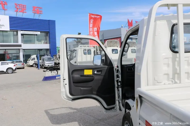 Foton 4x2 2 Tones Light Cargo Truck