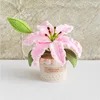 Flor de lirio - Rosa