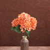 Color no. 5 (excluding vase)