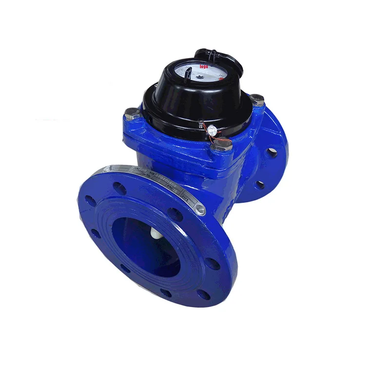 Removable Dry Dial Type Flange Socam-Water-Meter