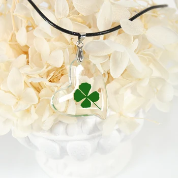 H7c5f0d9ffaf04de6927fe42923262