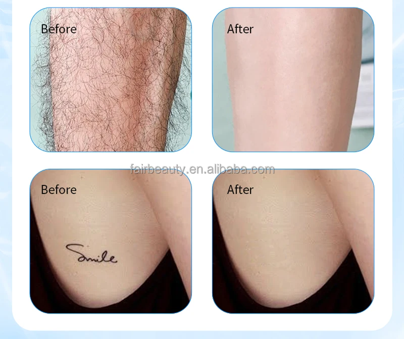 Global Shipping and Logistics