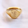 Virgo