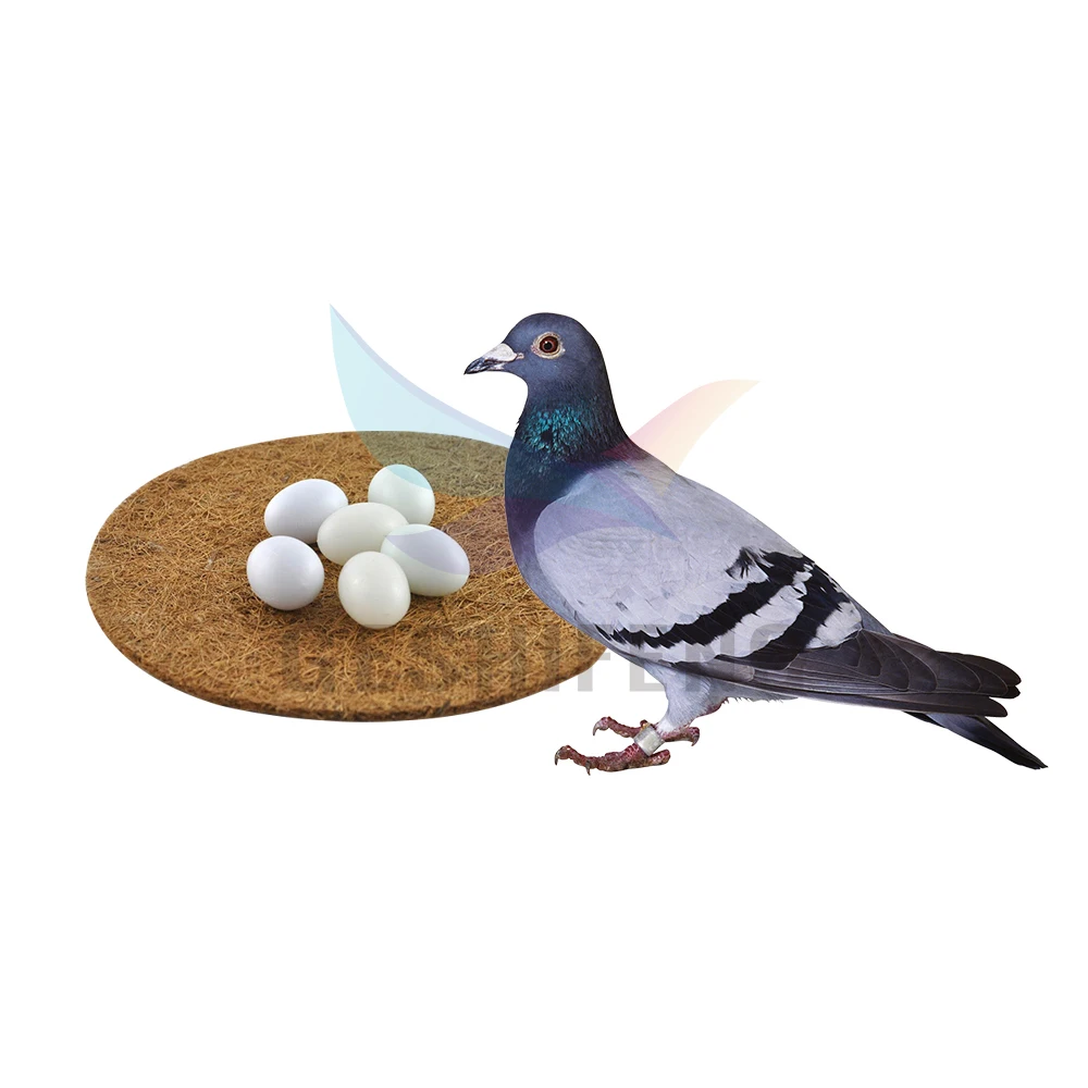 Tapis de nid en fibre de coco 100% naturelle GSF Factory G1244 pour pigeons, nid de reproduction pour oiseaux, nid pour l'éclosion des œufs