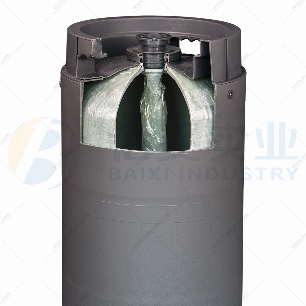 Reusable Plastic Beer Kegs 30l with Disposable Inner Bag Spear