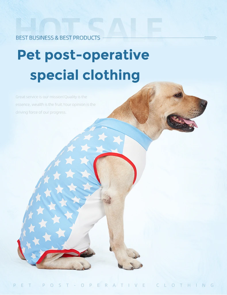 Hot Sale Dog Summer Breathable Pet Rehabilitation Suit Antilicking