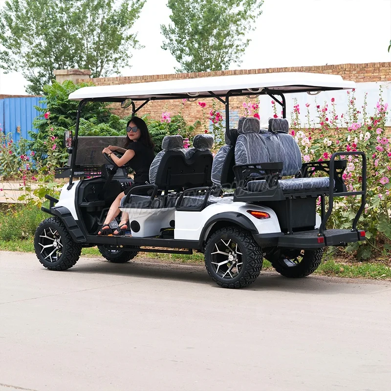 4+2 New Model High Power Golf Cart 5kw/7.5kw Electric Hunting Car With Ce Certification