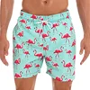 flamingo 4.png