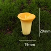 No. 14 Trumpet Fungus