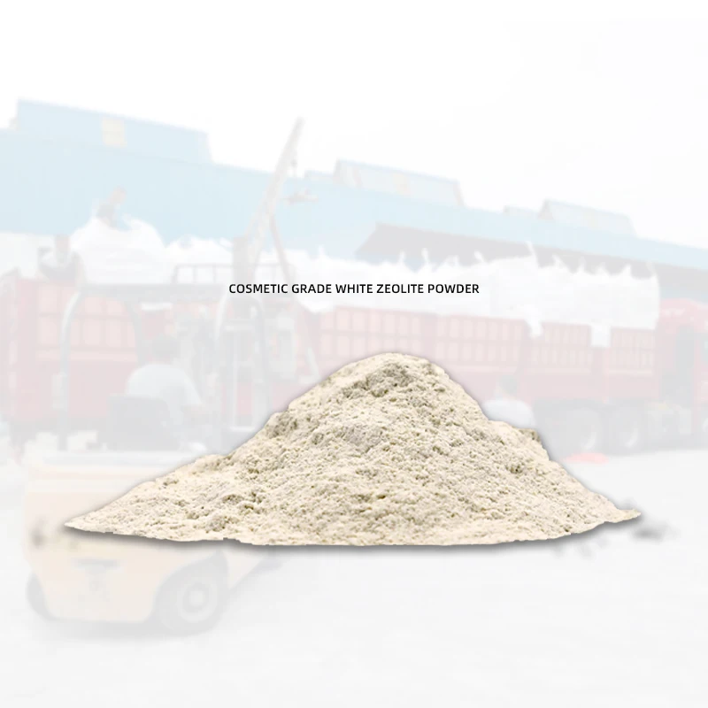 Zeolite Powder Activated Carbon Molecular Sieve Water Treatment Chemical Auxiliary for Food Known as Carbon Adsorbent Agent