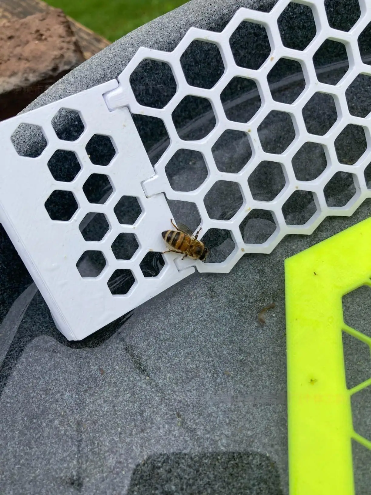 Floating Bee Ladder,Bees, Insects, Drinking Water, Bees, Ladders, Insects, Floating Bees, Ladders