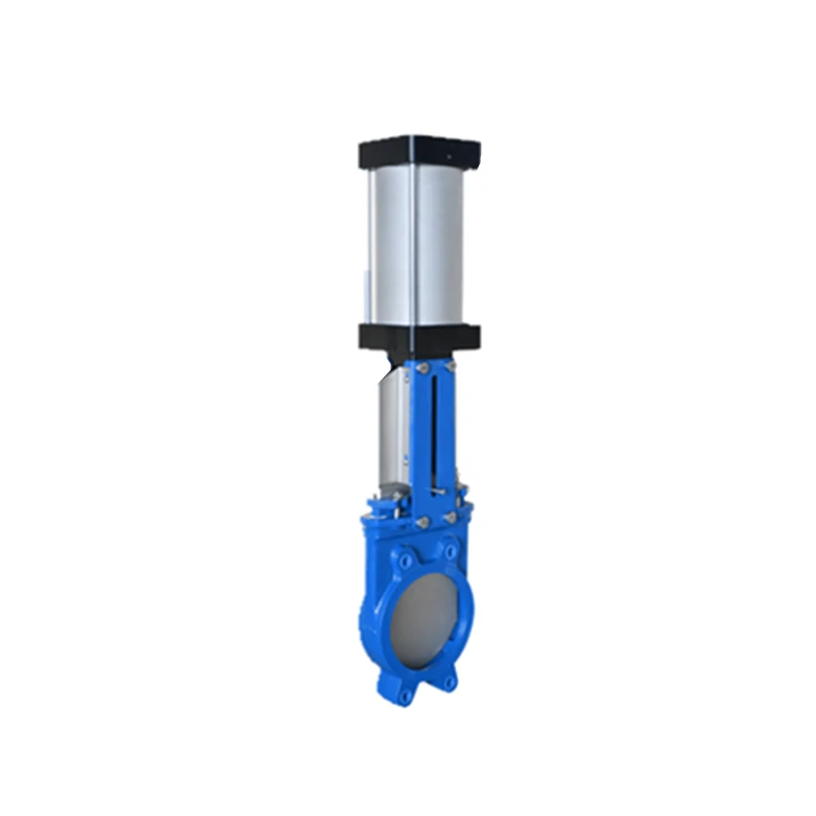 PN10 Stainless Steel Flange Connection Pneumatic Knife Gate Valve 