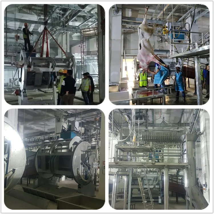 Cow slaughterhouse slaughtering machine slaughterhouse meat production line