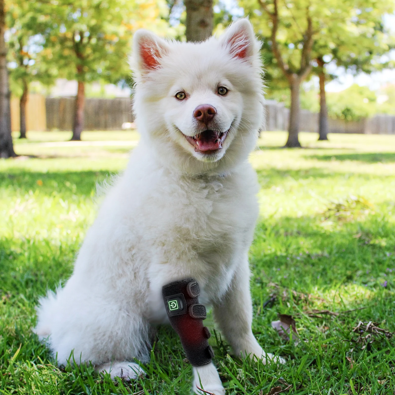 New Pet Therapy Home Use Dog Red Light Infrared Wrap Pain Therapy 660nm new-pet-therapy-home-use-dog-red-light-infrared-wrap-pain-therapy-660nm