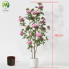 rosa 180 cm