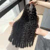 Bouclés birmans