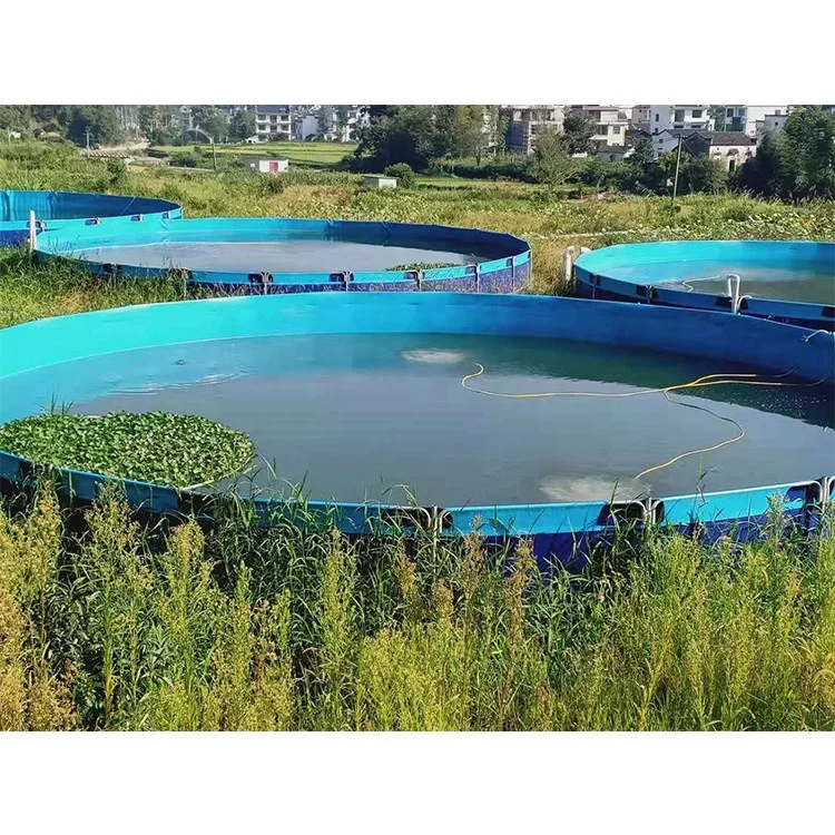 Aquaculture Fish Farming Pond: Plastic Container Tilapia Fish Tank
