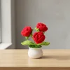Rose rosse finite (3 pezzi) piccole piante in vaso