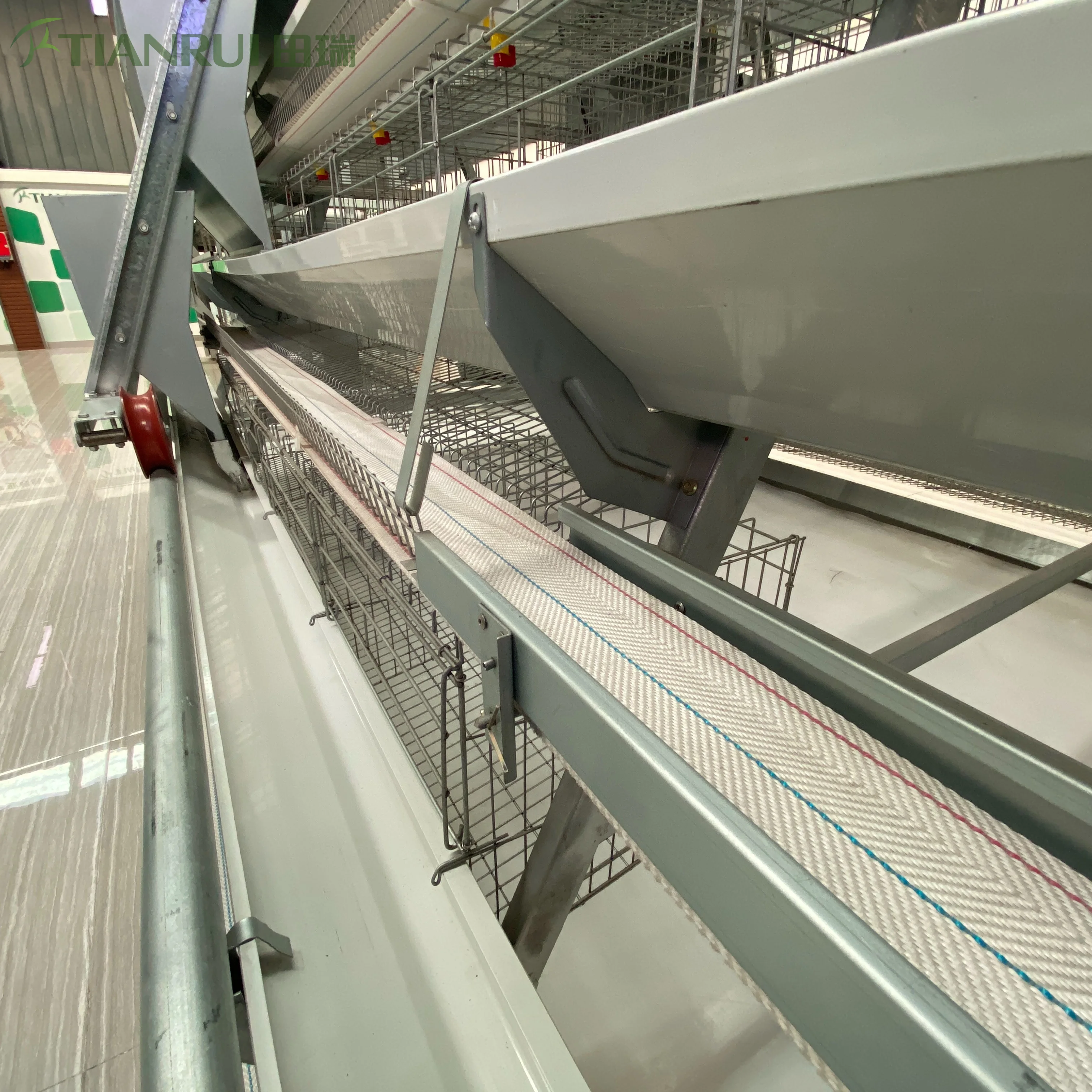 Machinery Layer Cages Systems of Chicken Cage House With Automatic Egg Collection