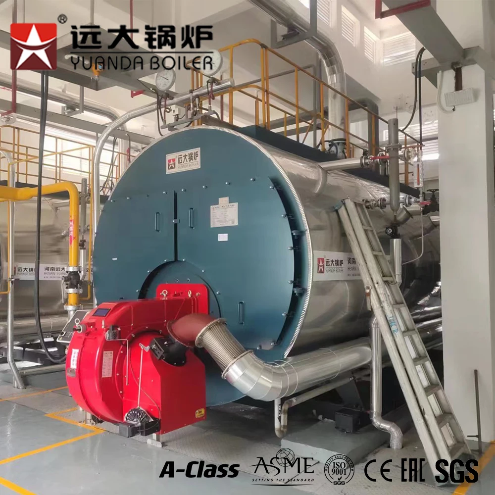 Steam Boiler 3000 kg h for Food Processing Factory