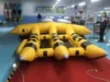 6 large flying fish