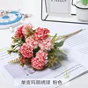 Mary hydrangea pink-light leaf