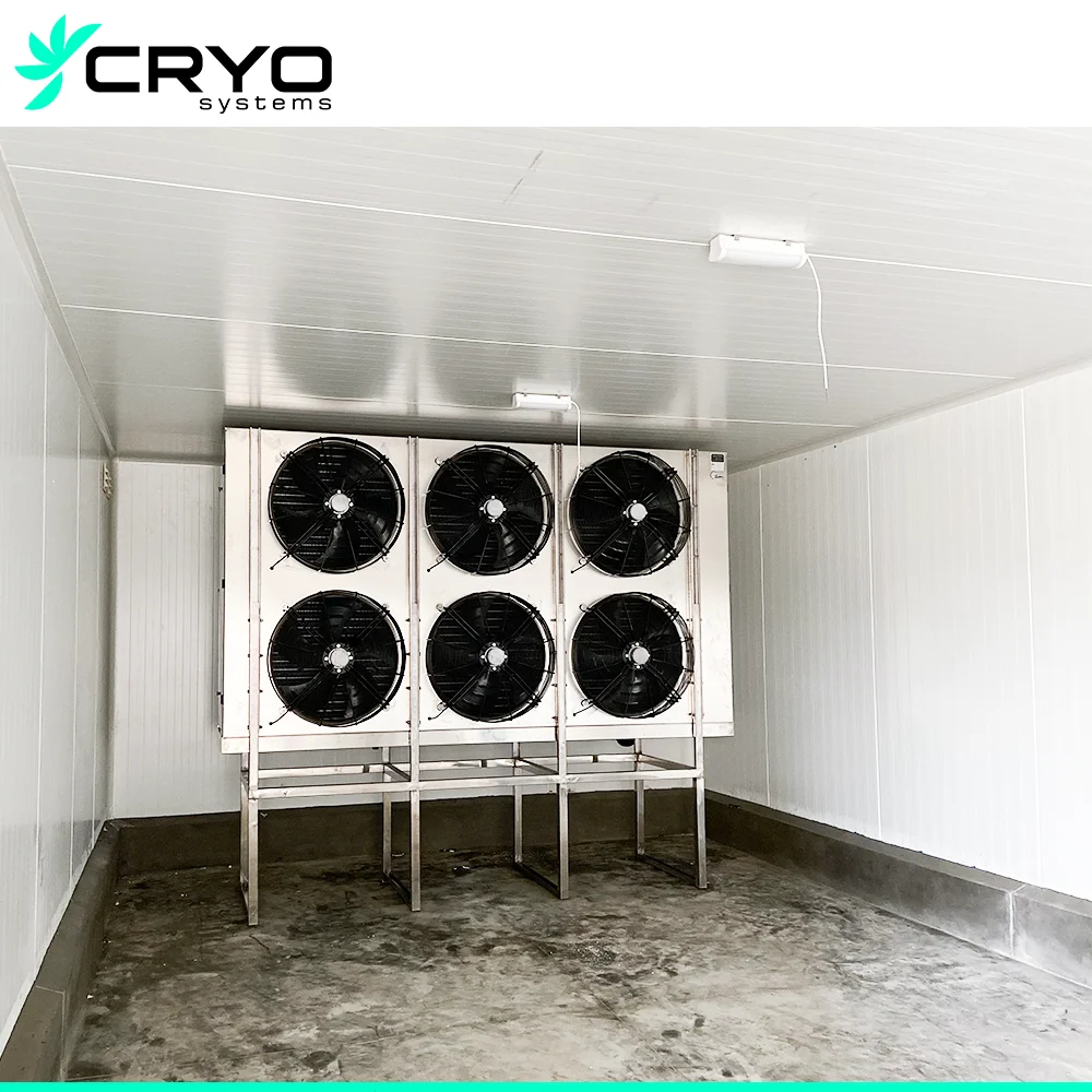 Cold Storage 50 Ton Chicken Blast Freezer Blast Chiller Blast Freezers Rooms