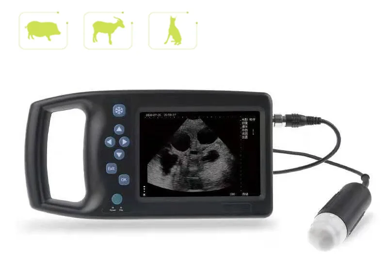Cheap handheld veterinary ultrasound scanner/ machine for sheep and cow