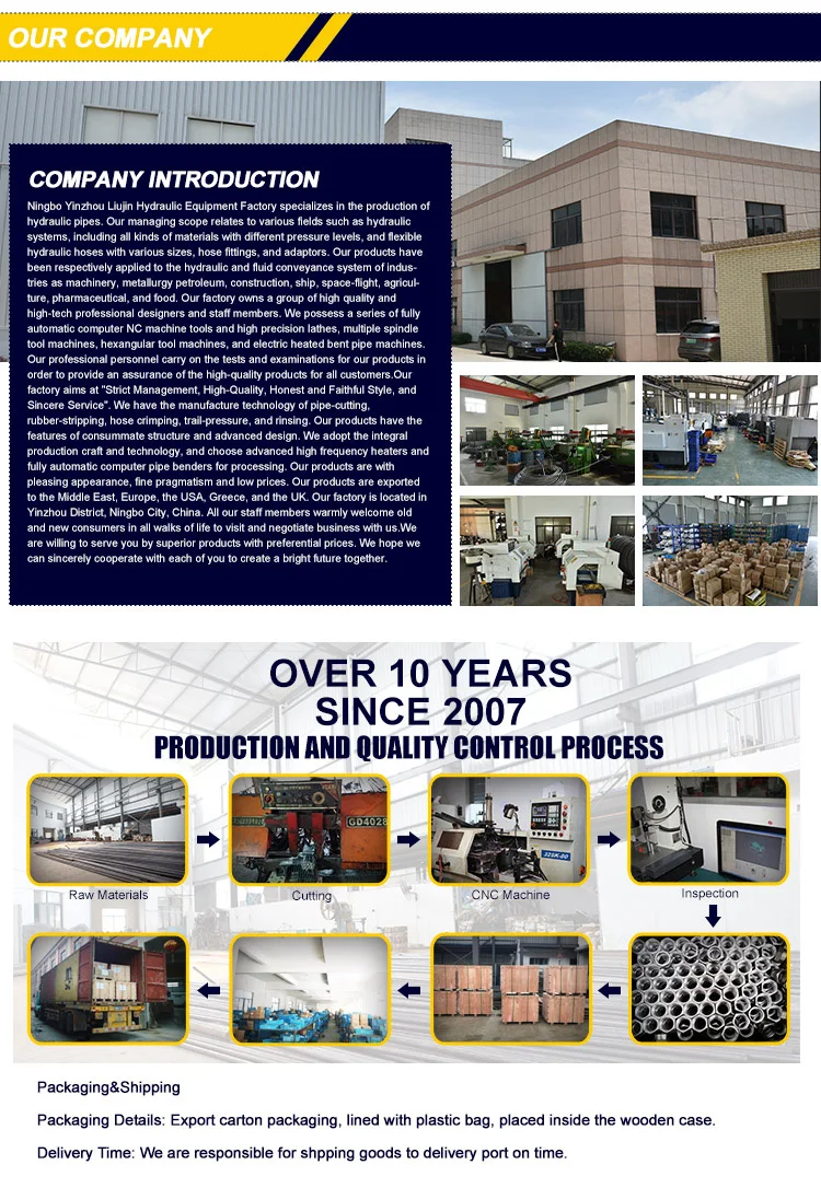 Female hose fittings factory direct supply hydraulic pipe fitting