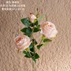 Champagne color