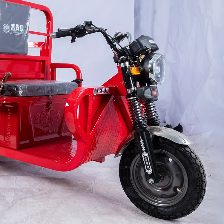 FGQ Heavy Duty Adult Truck 5 Wheels Cargo Electric Agricultural Tricycle