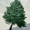 verde scuro