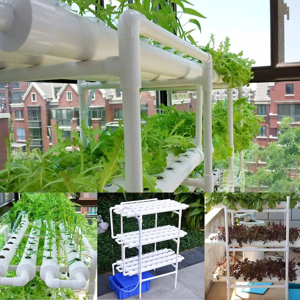 36 Sites Hydroponic Grow Tool Kits Vegetable Garden System 220V Water