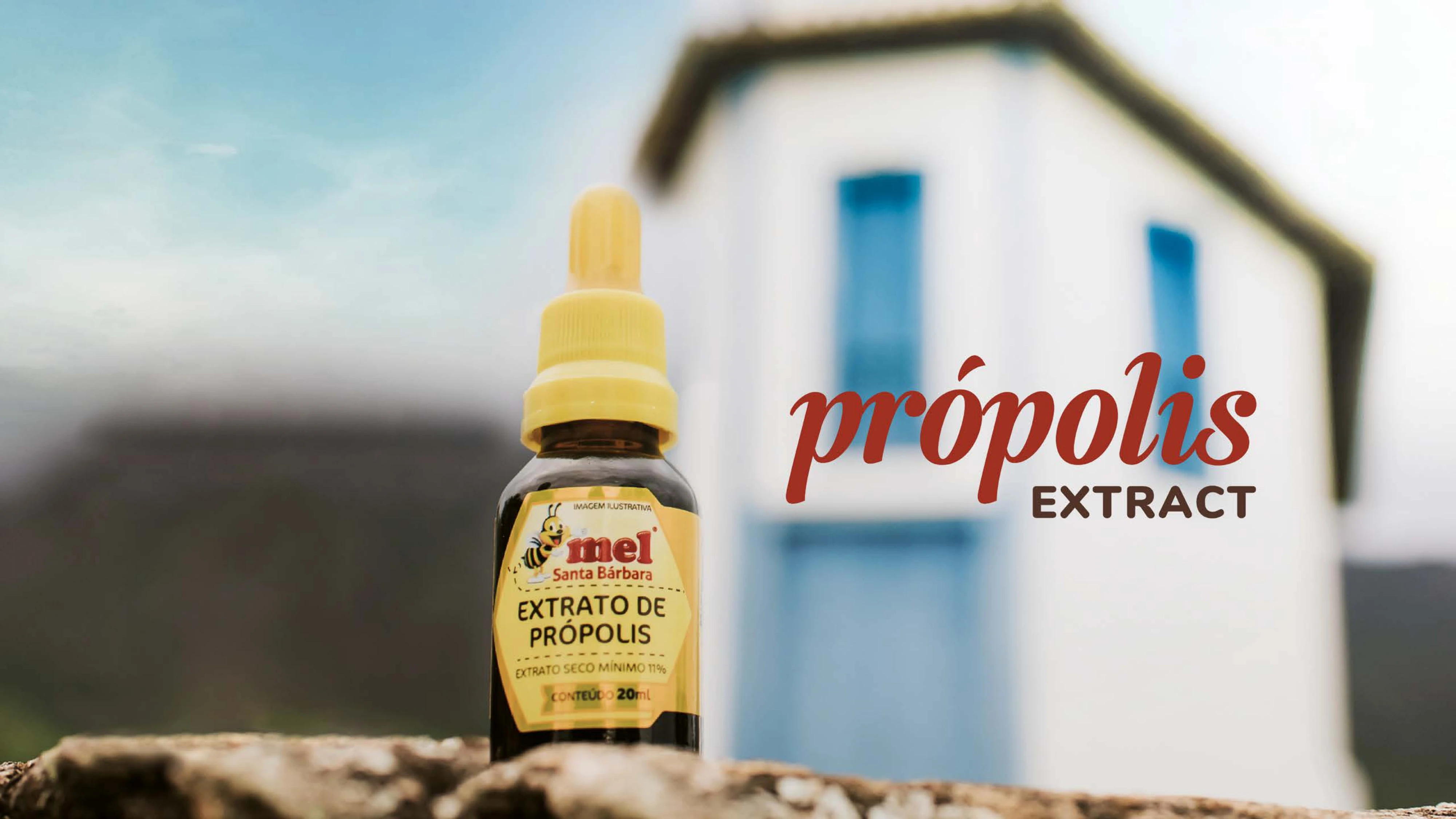 Flavored Ginger Pomegranate and Eucalyptus 35ml Honey Propolis Spray Healthy Bee Propolis Spray from Brazil