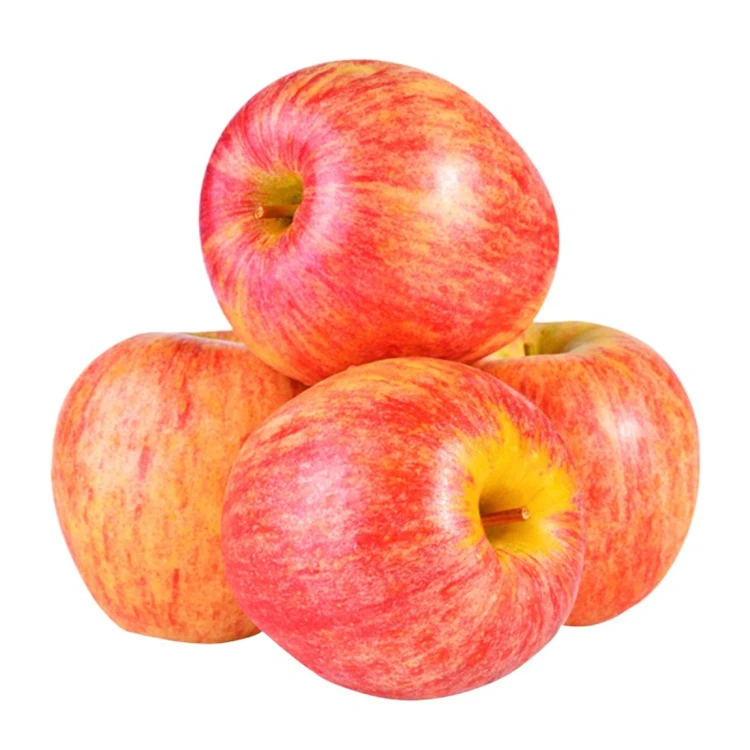apple supplier fresh apple exporters delicious juicy fuji apples