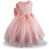 Shrimp Pink 575