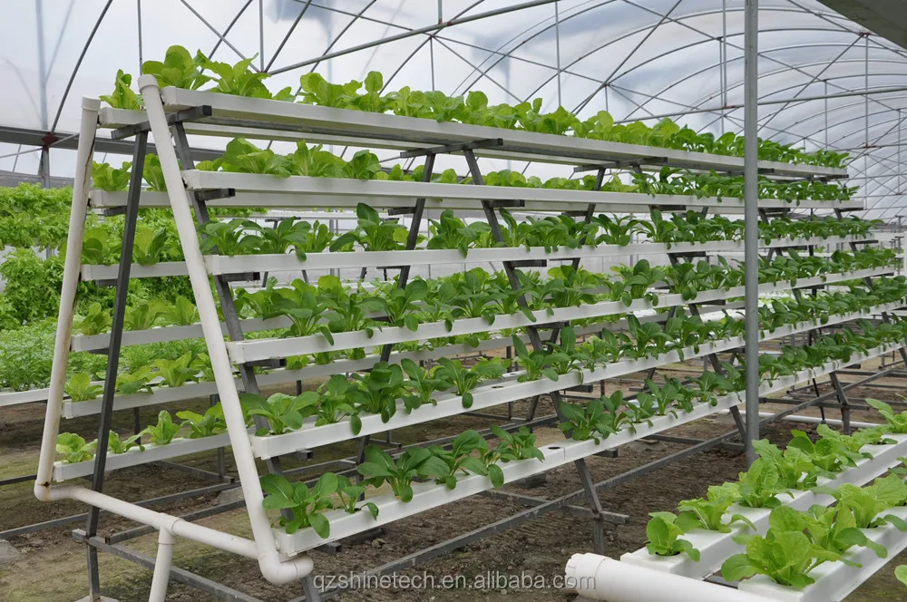 vertical hydroponic system