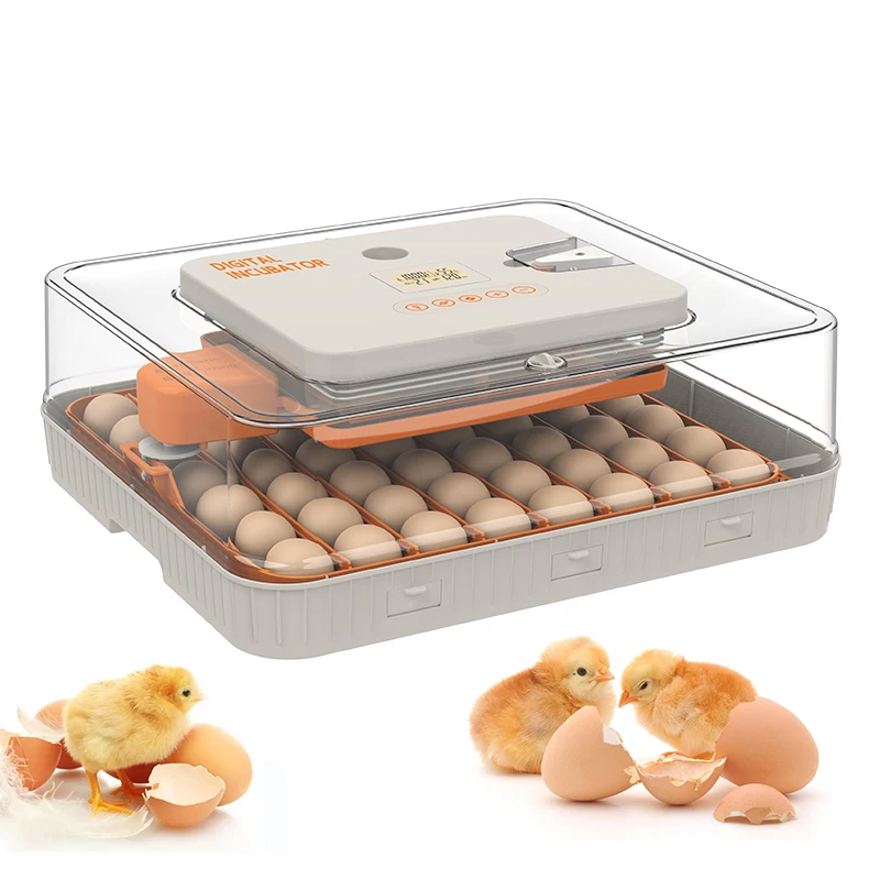16/36 Eggs Incubator Digital Automatic Turner Hatcher Chicken Egg Temp Control