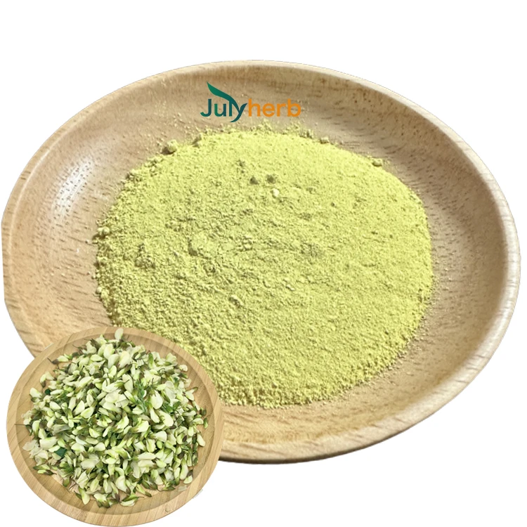dried sophora japonica flower plant extract