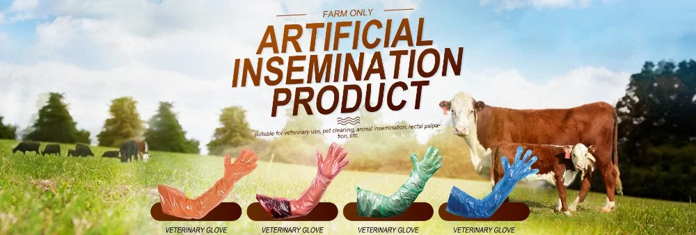 veterinary glove title.JPG