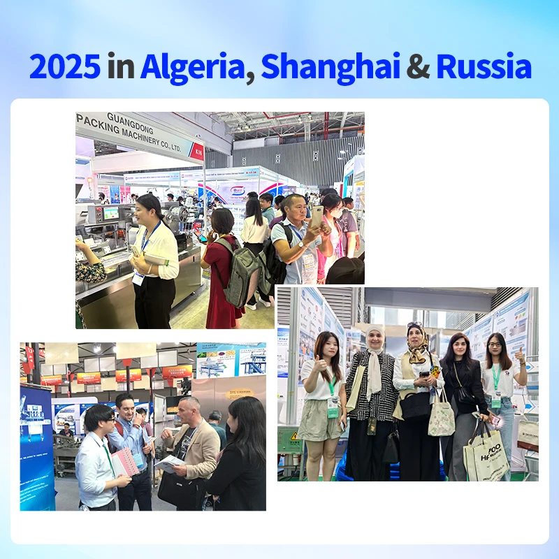 Rich Packing Automatic Tablet Capsule Blister Cardboard Machinery Sealing Packaging Blister Card Packing Machine