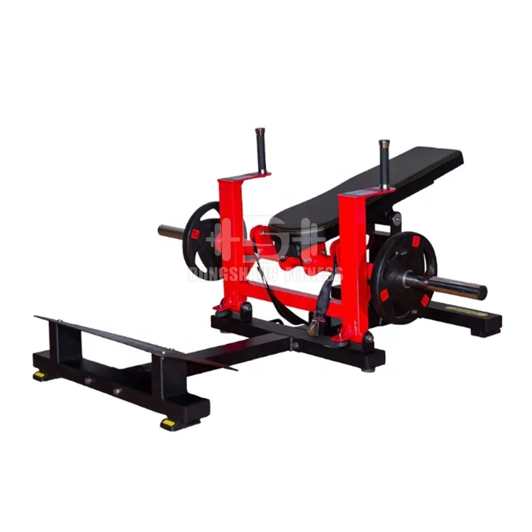Hammer Strength Nautilus Glute Machine Nautilus Glute Drive Plate