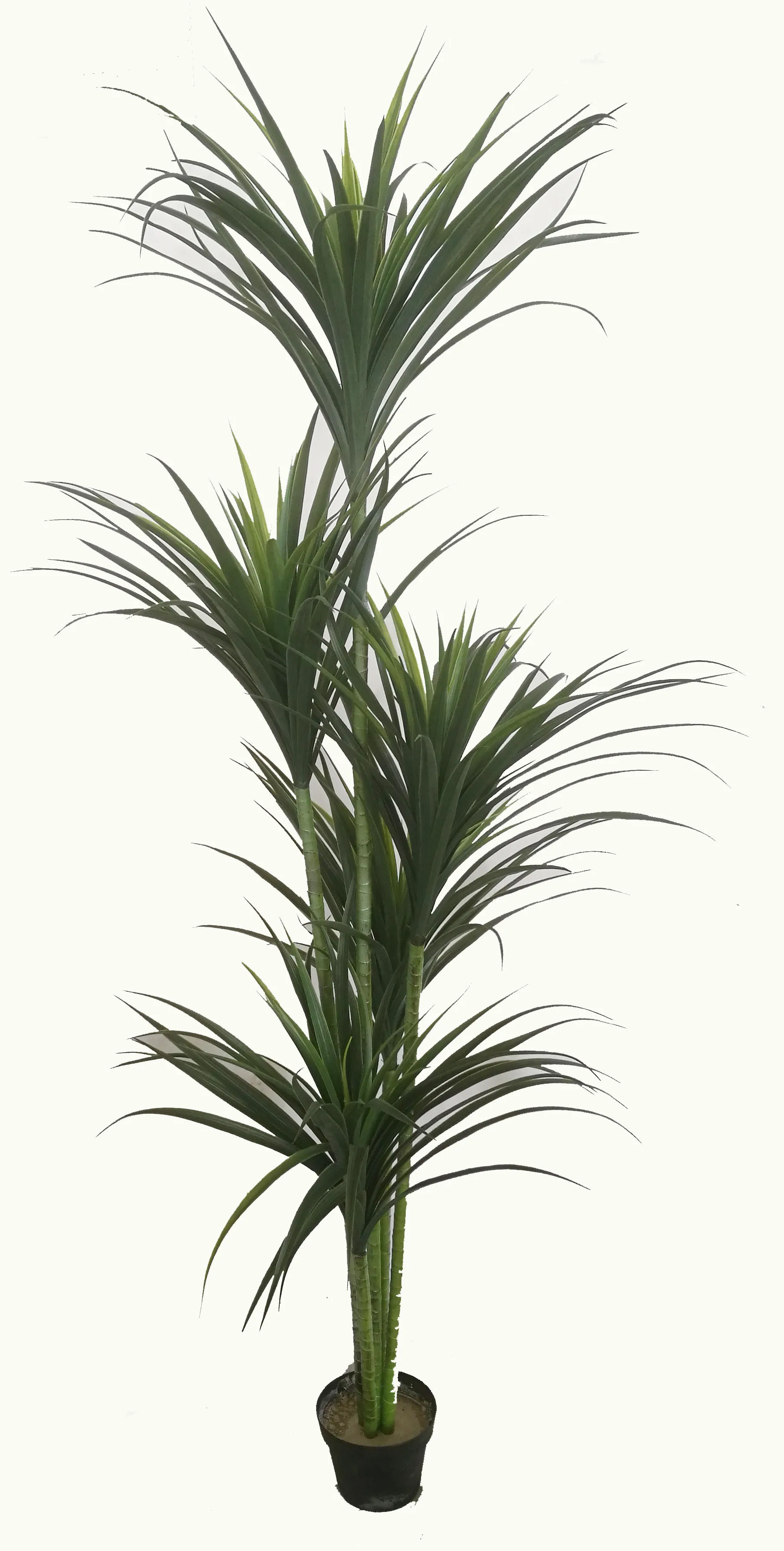 Item NO 5135 185CM Artificial Yucca Rostrata Tree Durable and Versatile Indoor/Outdoor Artificial Plant
